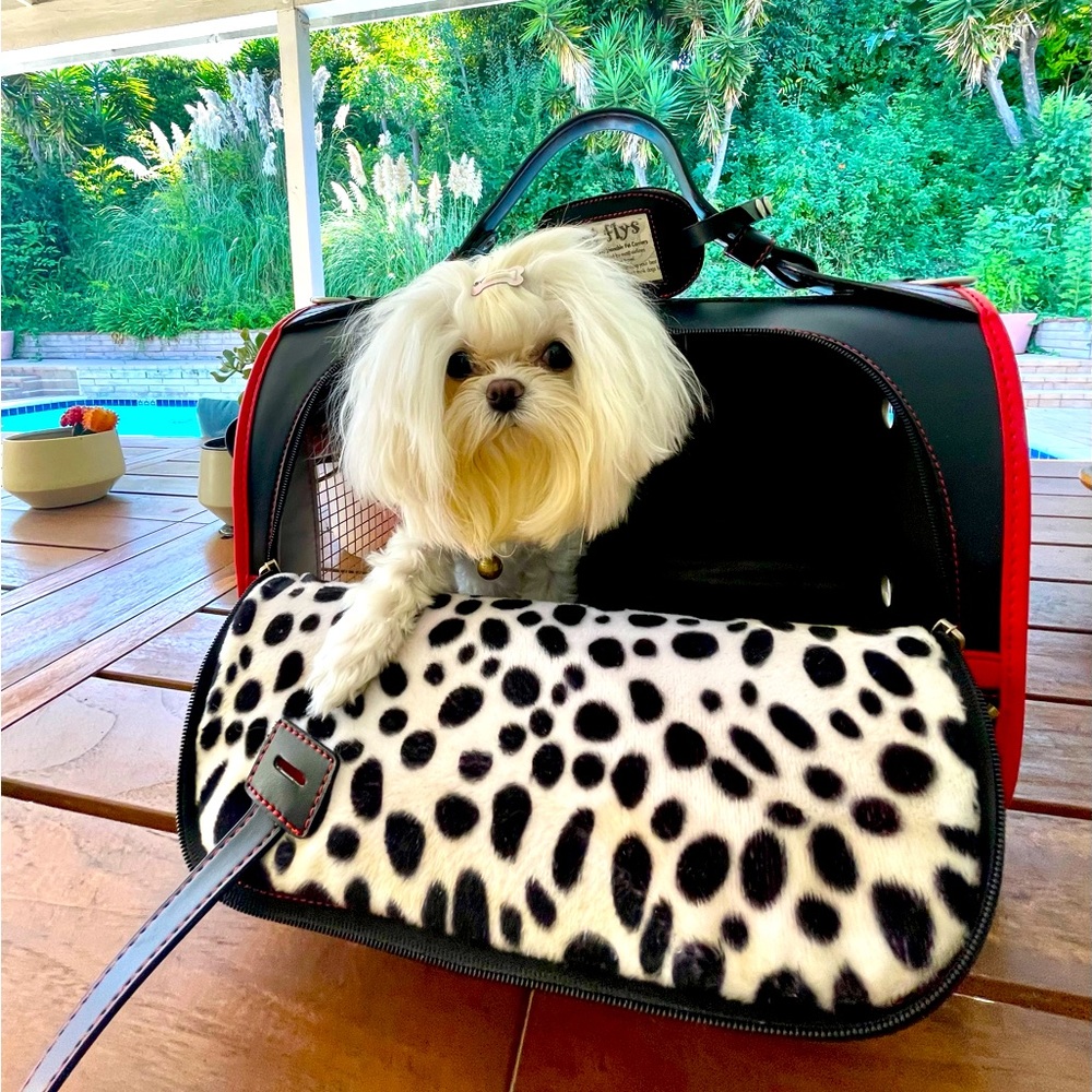 Pet Flys pet/dog carrier Skull & crossbones red/black leopard print
